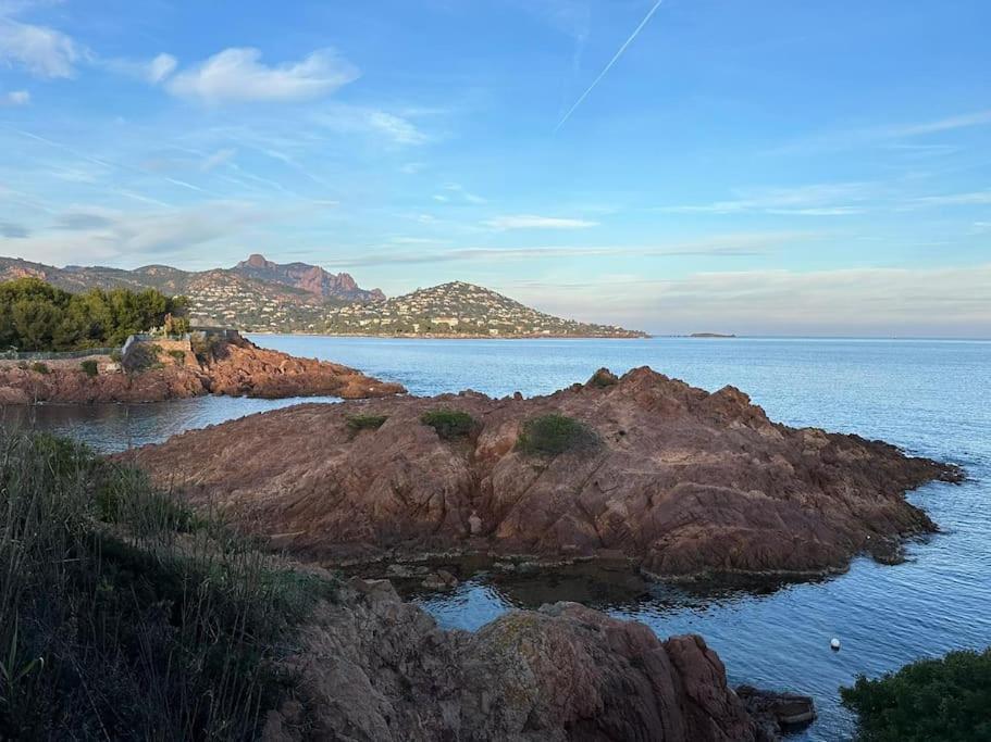 Charmant Studio Lumineux Avec Parking Prive Saint-Raphaël Exteriér fotografie